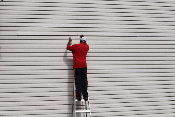 Best Steel Siding Installation  in Wales, WI