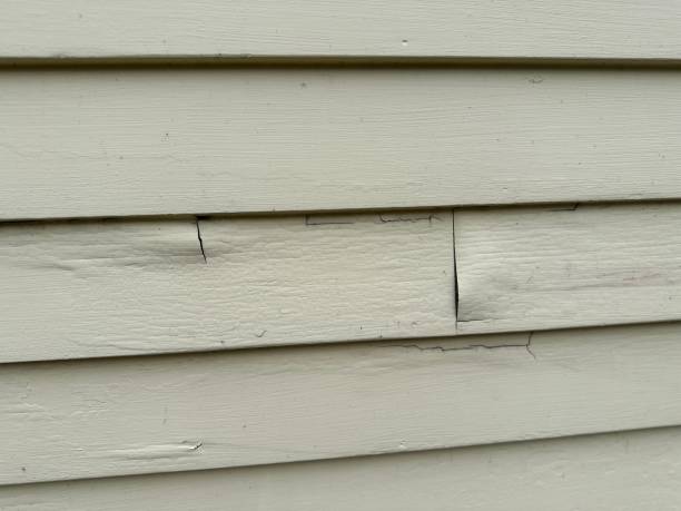 Storm Damage Siding Repair in Wales, WI